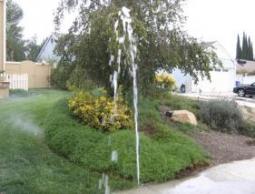 broken sprinkler head shoots water straight up into the air